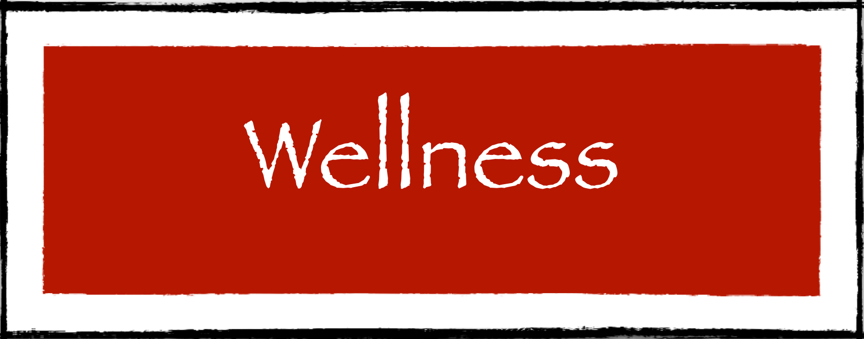 Fitness and Wellness Seekers